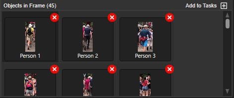 person-objects-in-frame