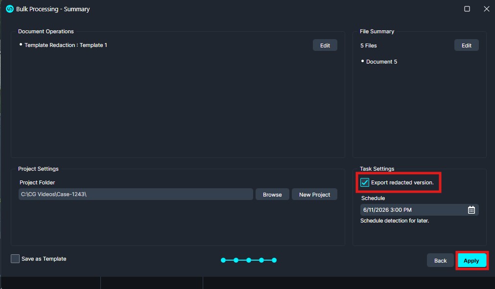 Bulk Processing - Summary dialog with 'Export redacted version' checked and the Apply button highlighted.