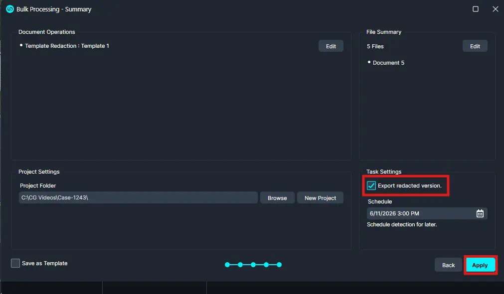 Bulk Processing summary: 'Export redacted version' is checked; Apply button highlighted; shows file list and project settings.