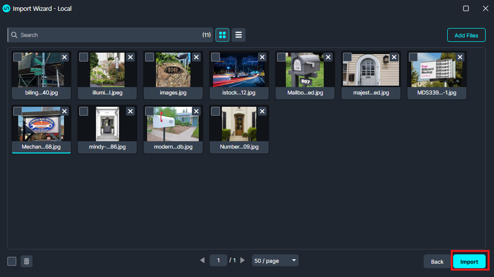 Import Wizard dialog with image thumbnails and an Import button highlighted in blue at bottom-right of the window.
