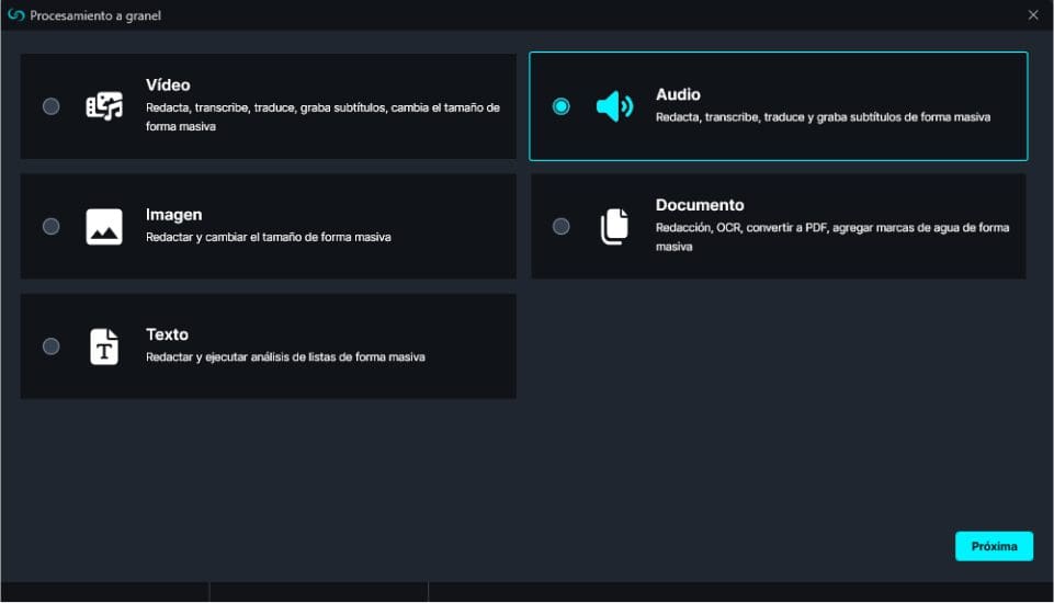 procesamiento-a-granel | CaseGuard Bulk Processing Window in Spanish