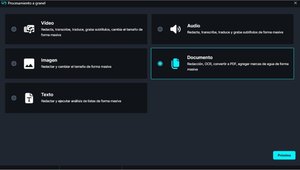 Bulk Processing window with document selected in Spanish