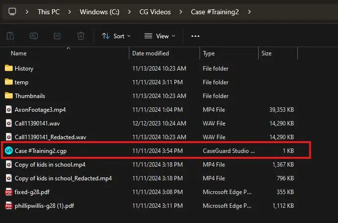 Windows Explorer window showing a folder's file list with 'Case #Training2.cgp' highlighted in red outline (selected).