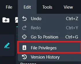 Screenshot of a tools menu in an editor with 'File Privileges' highlighted in red.