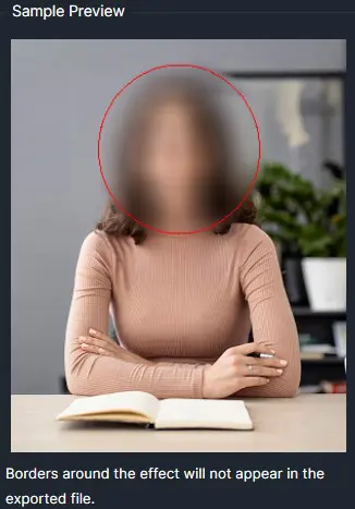 Blurred portrait of a woman at a desk with a red circle around her head, illustrating a privacy mask highlight.