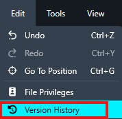 Dark software menu showing actions like Undo, Redo, Go To Position;'Version History' is highlighted in blue/cyan.