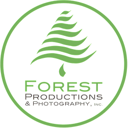 Forest Productions