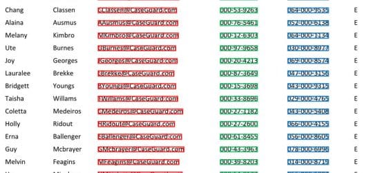 Automatic PDF Redaction, New Software Solutions