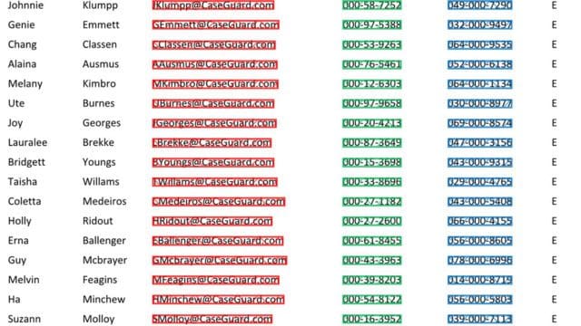 CaseGuard-Pattern-Automatic-Document-Redaction