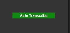 CaseGuard Auto Transcribe Button