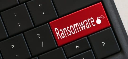 How Do Data Breaches Occur and How Can I Prevent Them?