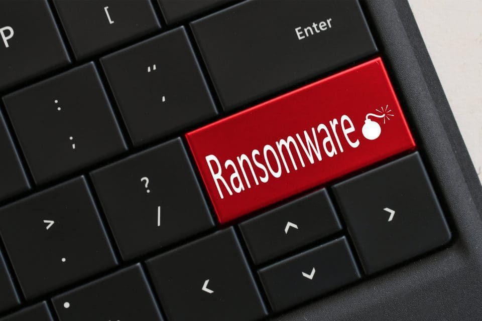 How Do Data Breaches Occur and How Can I Prevent Them?