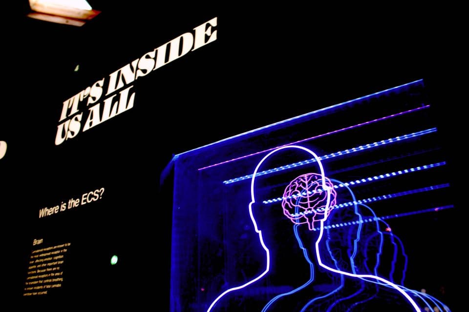 Deep Learning, Facial Recognition, New Capabilities