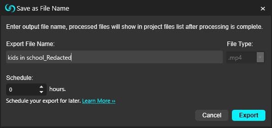caseguard-studio-export-process