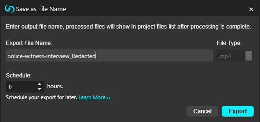 caseguard-audio-export-process