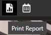 caseguard-print-report-button