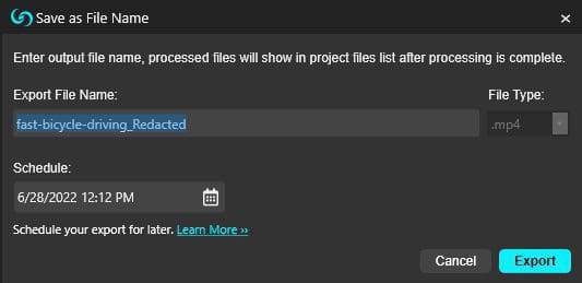 caseguard-snapshots-export-window