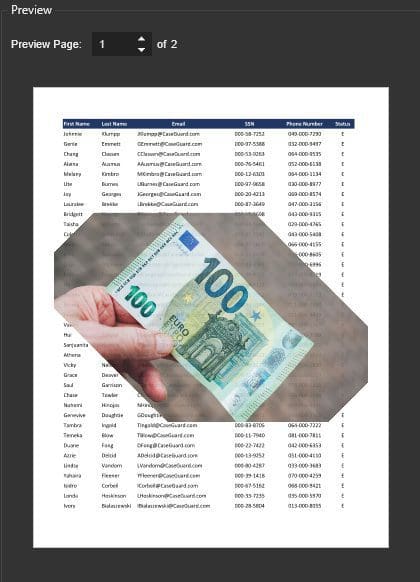caseguard-watermark-image-preview | CaseGuard caseguard-watermark-image-preview