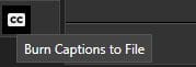 caseguard-burn-captions-file | CaseGuard burn-captions-to-file