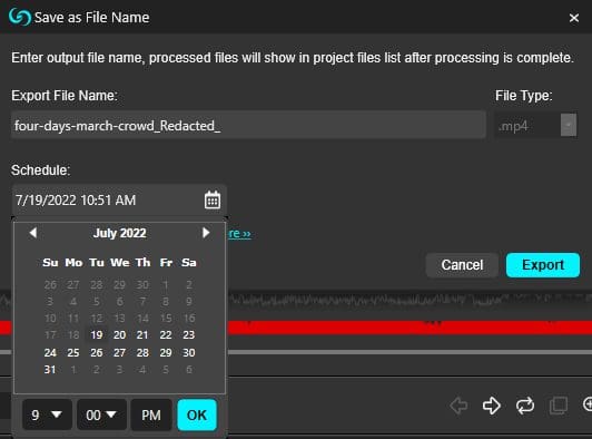 redact-person-export-window