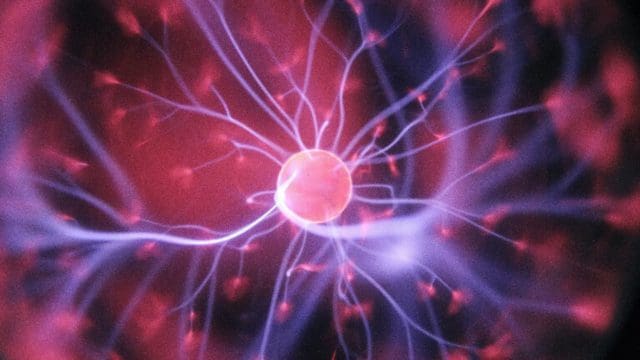 Convolutional Neural Networks, New Deep Learning Models