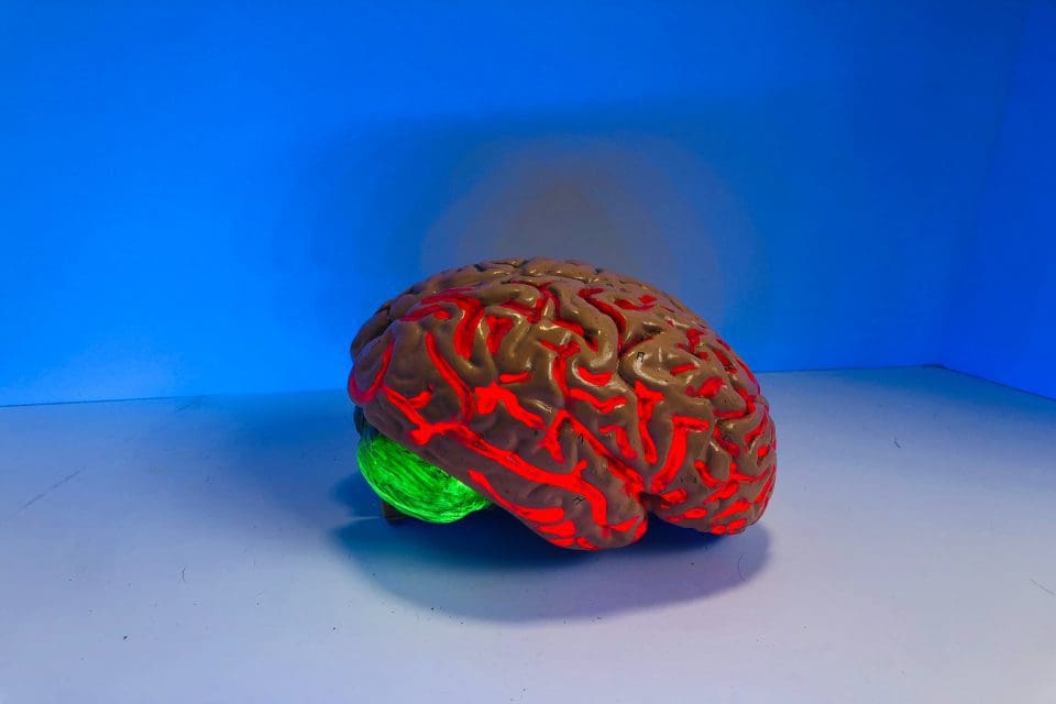 LSTM and Neural Networks, a Unique Approach to Deep Learning