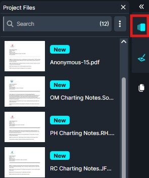 Project files panel with a highlighted blue monitor icon on the right toolbar in a dark UI panel.