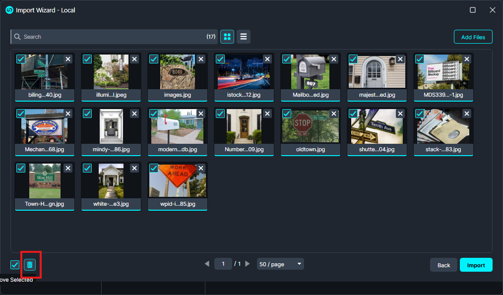 Screenshot of Import Wizard - Local window with many image thumbnails, checkboxes, delete icons, and an Import button (back/ paginate controls visible).