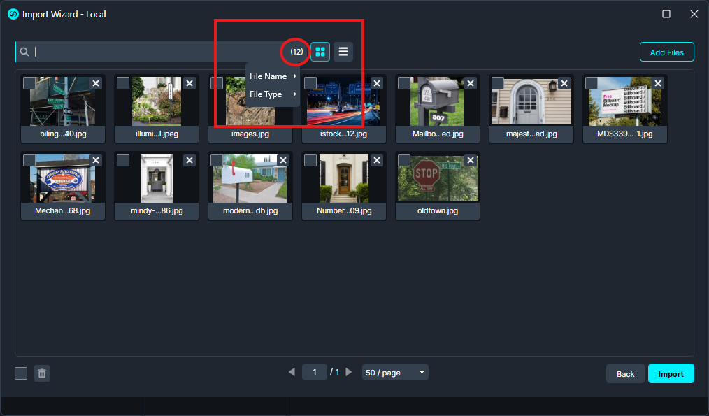 Import Wizard - Local window showing a grid of image thumbnails and a highlighted menu (12) with File Name and File Type options.