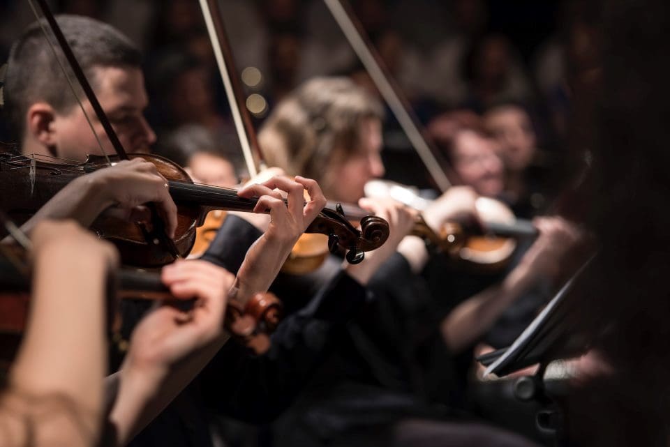 String orchestra | CaseGuard Musicians playing string instruments in an orchestra.