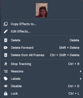 Context menu with a small user avatar at the top, listing actions such as Copy Effects to, Edit Effects, Delete, Stop Tracking, Reasons/Labels, Disable, and Lock.