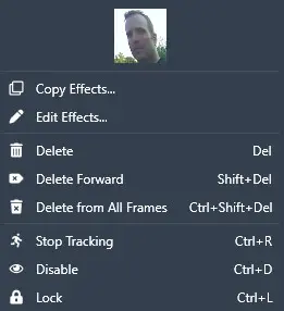 Context menu with options: Copy Effects, Edit Effects, Delete, Delete Forward, Delete from All Frames, Stop Tracking, Disable, Lock; user avatar above.