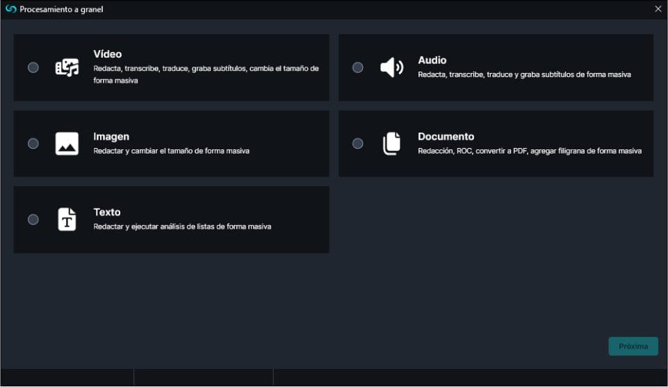 Bulk Processing Options in Spanish