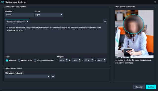 Bulk Edit Panel in Spanish Software