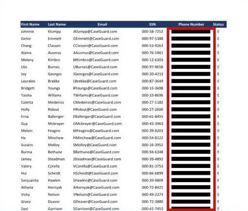 Spreadsheet-style contact list with names, emails, masked SSNs, phone numbers, and status (blue header). The sensitive fields are redacted for privacy.
