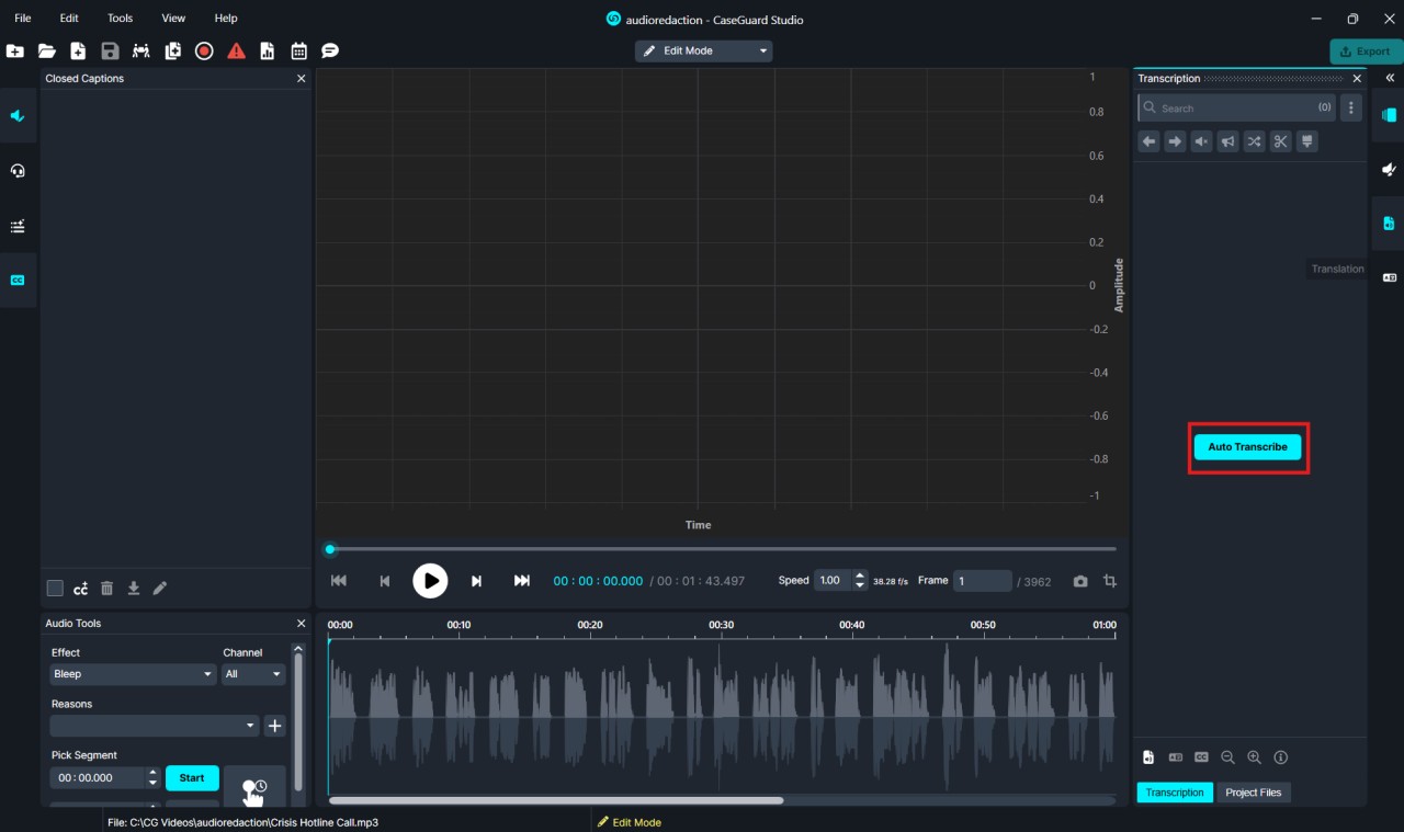 audio | CaseGuard
