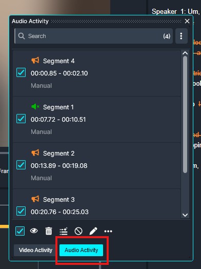 Audio Activity panel listing four segments with times and checkboxes; segments 1–4 are shown with Manual labels and selectable boxes